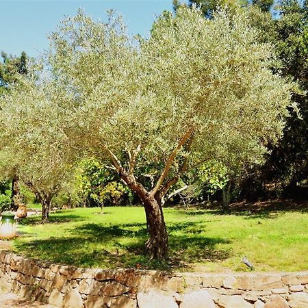 Casa Del Sole Chambres D'Hotes De Charme Favone Εξωτερικό φωτογραφία